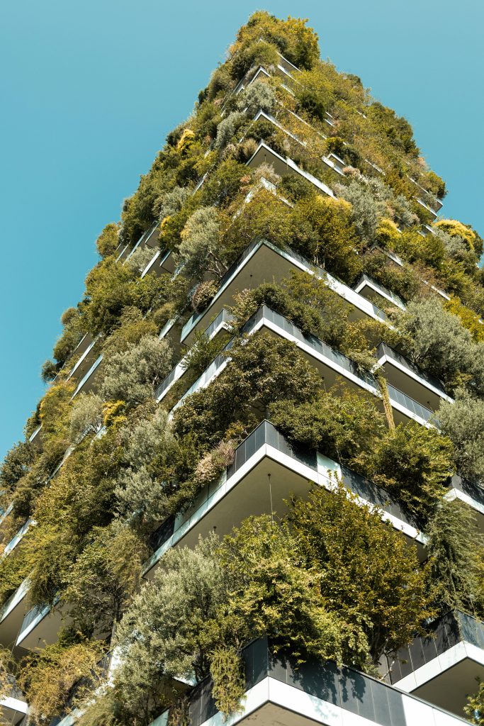 Eco-construction